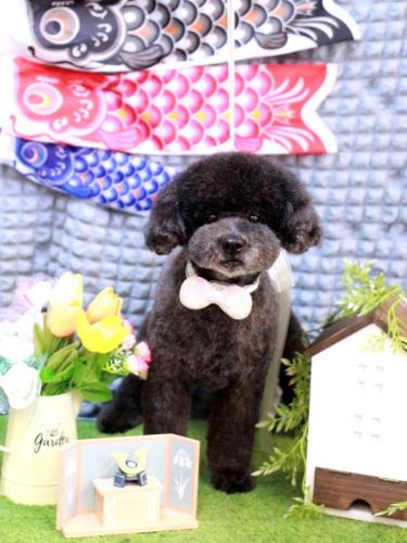 202305045コタロウくん